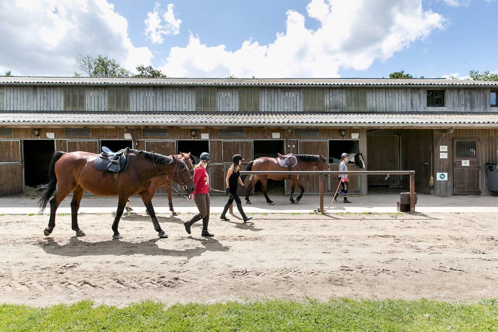 Appartements Les Ormes Epiniac Bagian luar foto